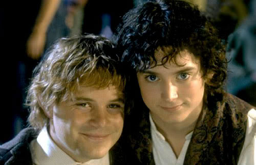 True Allies: Every Frodo Needs Their Sams
